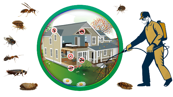 a man with a pesticide bag on his body and a house with bugs around it